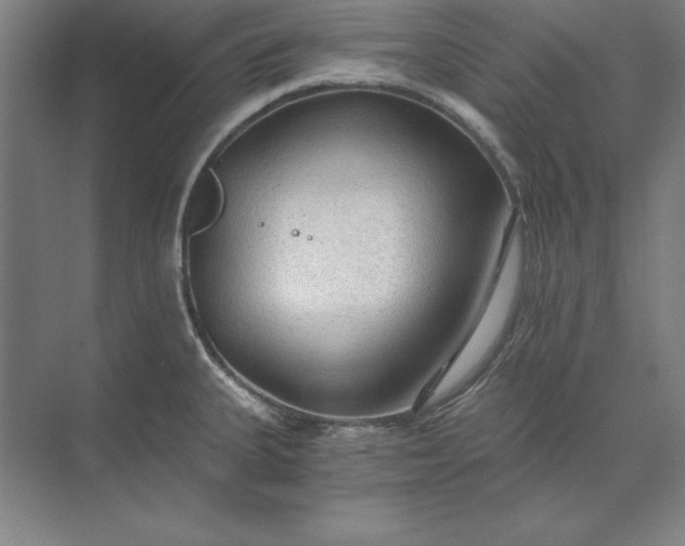 X0000071331335200607071622