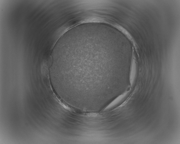 X0000071331337200607071622