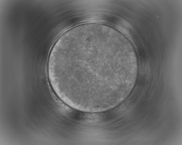 X0000071331338200607071622