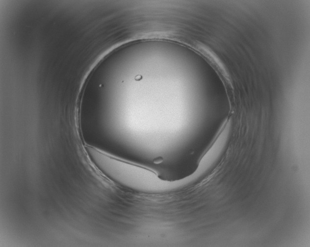 X0000071331340200607071622