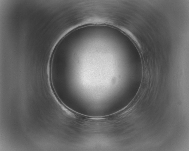 X0000071331343200607071622