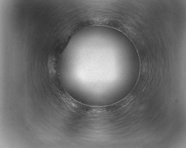 X0000071331346200607071621