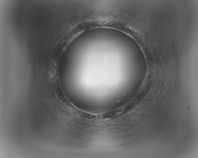 X0000071331349200607071621