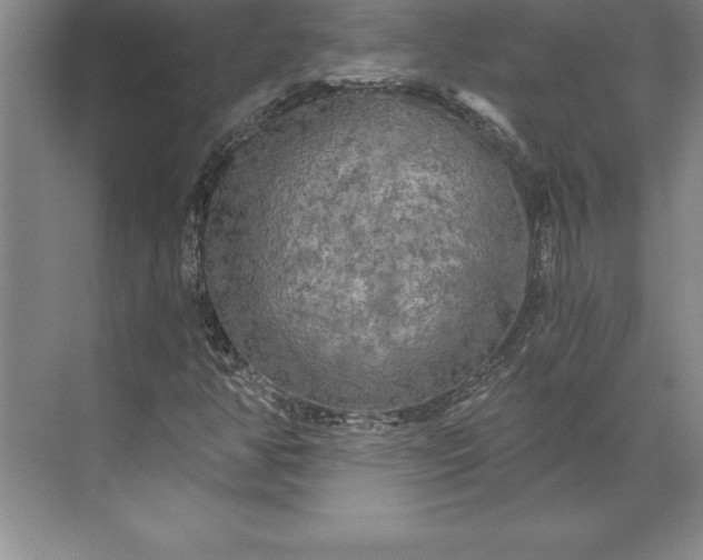 X0000071331350200607071621