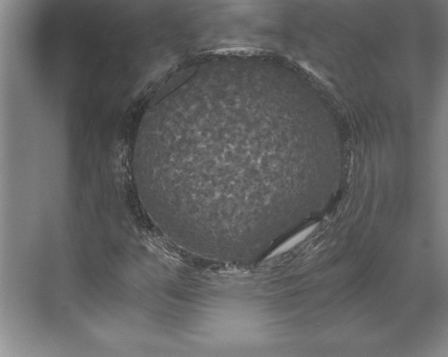 X0000071331351200607071621