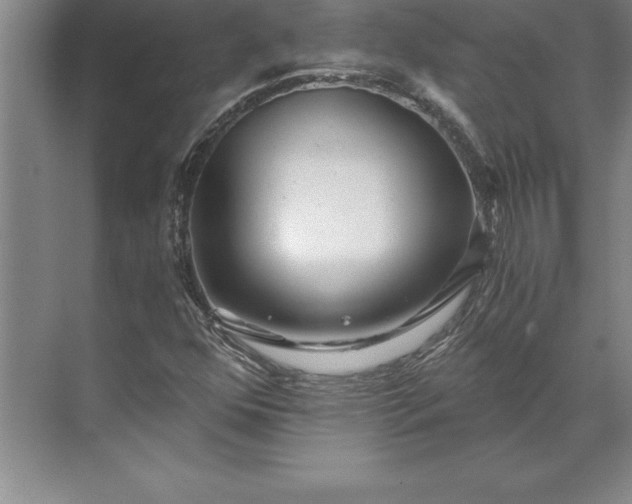 X0000071331352200607071621