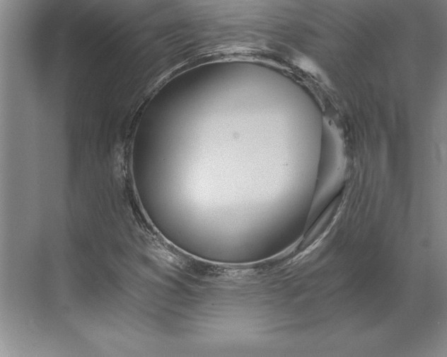 X0000071331353200607071621