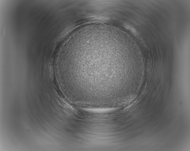 X0000071331354200607071621