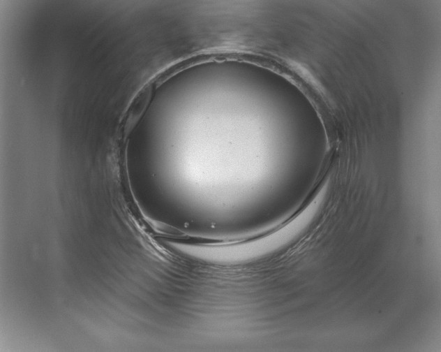 X0000071331356200607071621