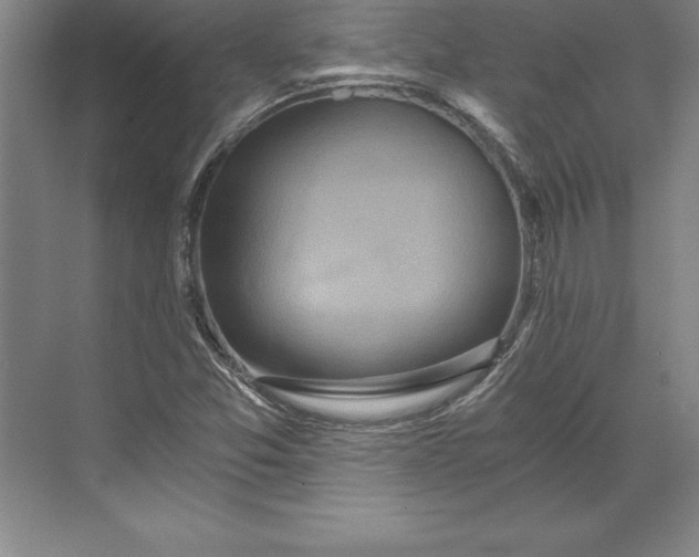 X0000071331357200607071621