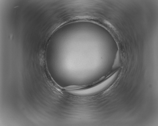 X0000071331361200607071621