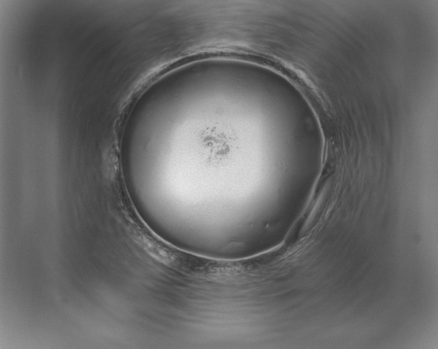 X0000071331363200607071621