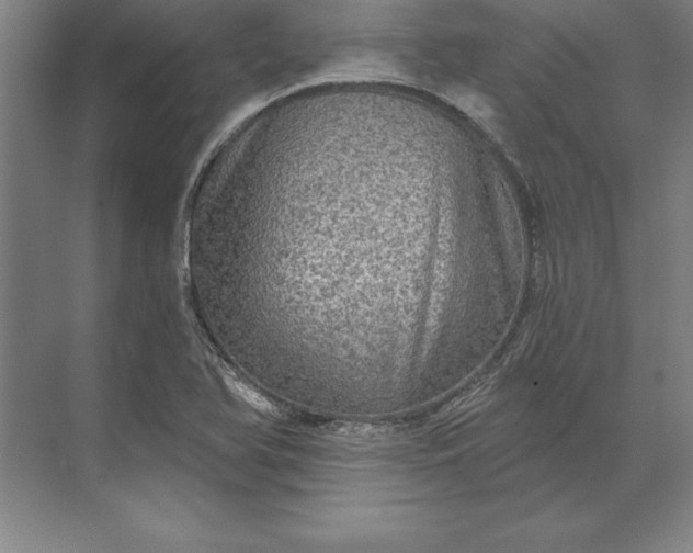 X0000071331366200607071621