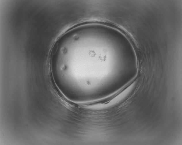 X0000071331367200607071621