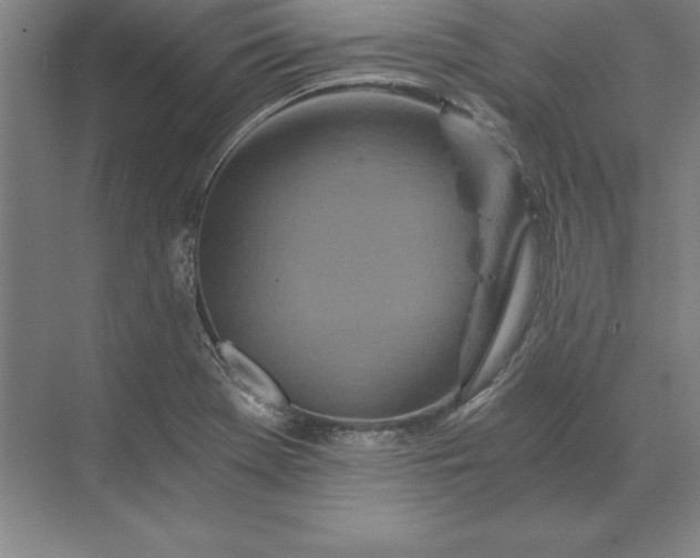 X0000071331369200607071621