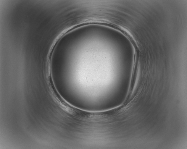 X0000071331371200607071621