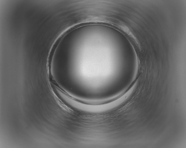 X0000071331372200607071621