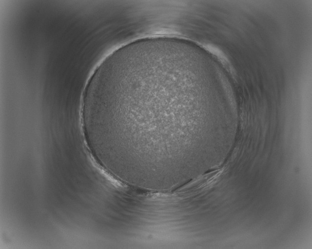 X0000071331374200607071621