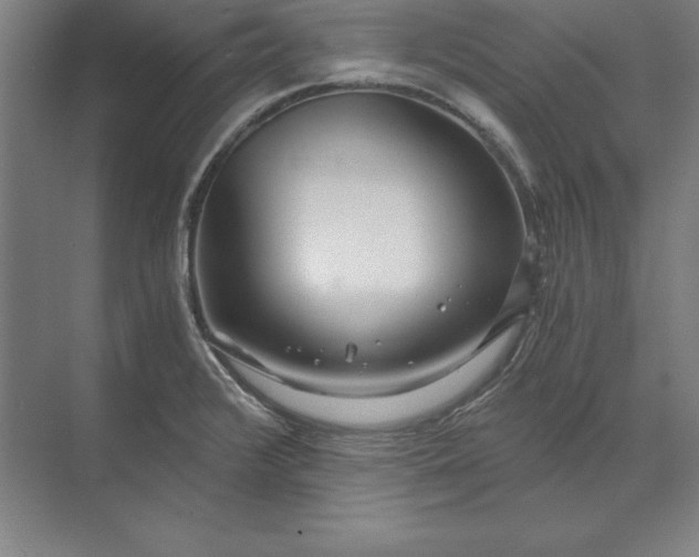 X0000071331376200607071621