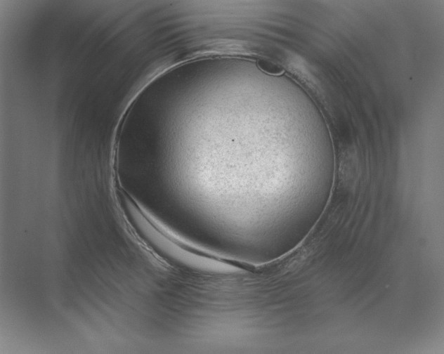 X0000071331378200607071621