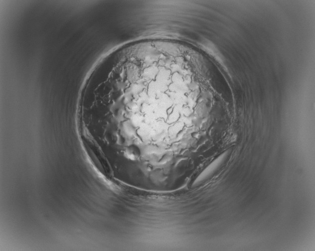 X0000071331379200607071621