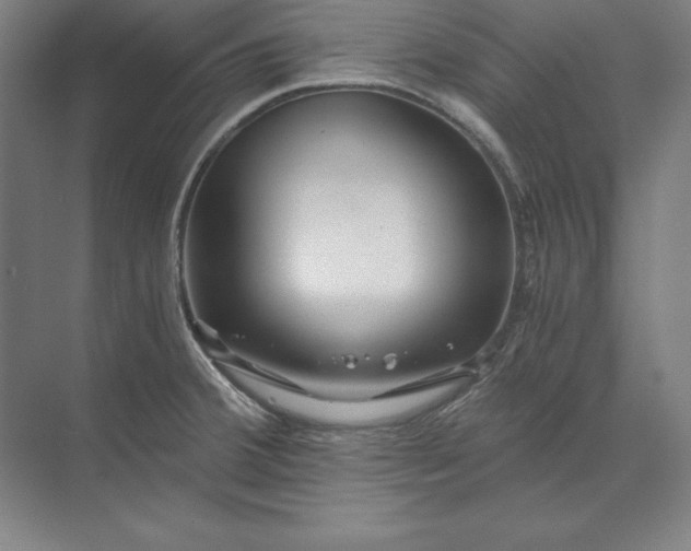 X0000071331380200607071621