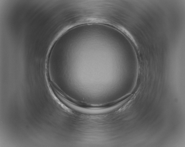 X0000071331381200607071621