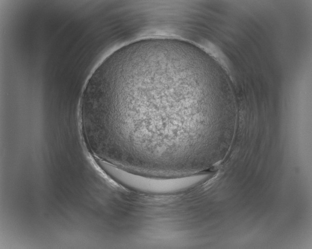 X0000071331382200607071621