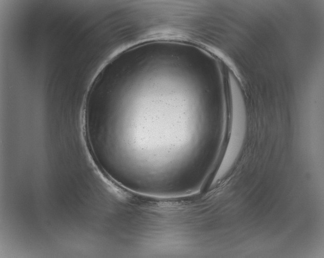 X0000071331383200607071621