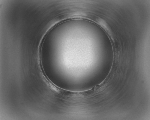 X0000071331384200607071621