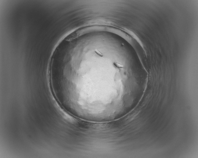 X0000071331387200607071621