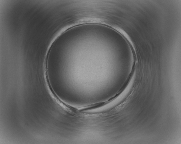 X0000071331389200607071621