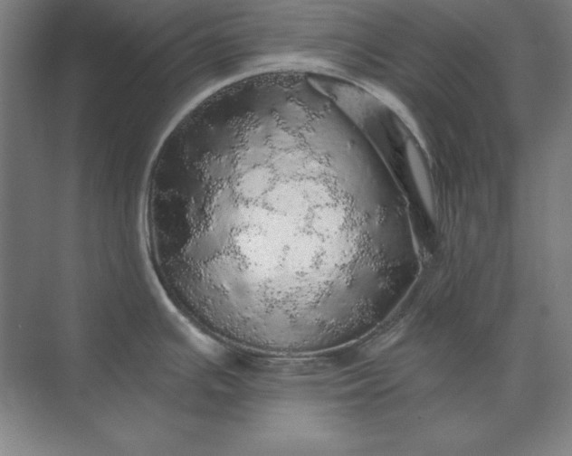 X0000071331391200607071621