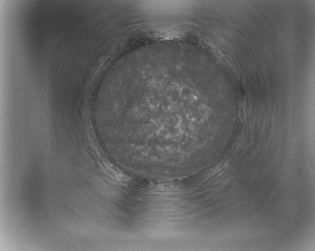 X0000071331393200607071620