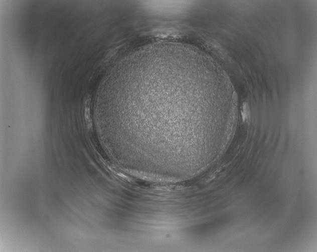 X0000071331396200607071620