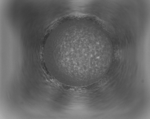 X0000071331397200607071620