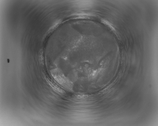 X0000071331403200607071620