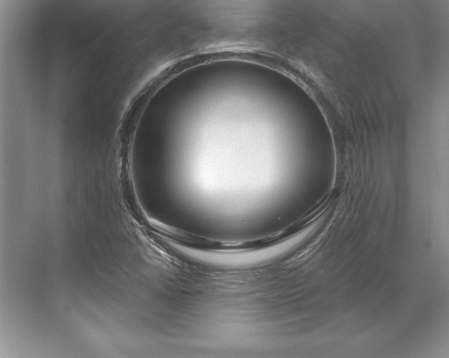 X0000071331406200607071620