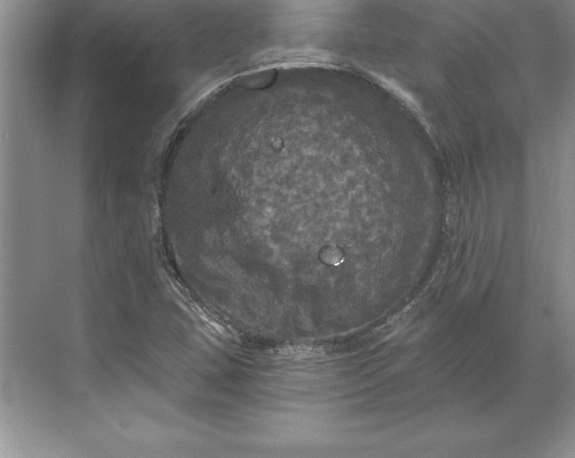 X0000071331407200607071620