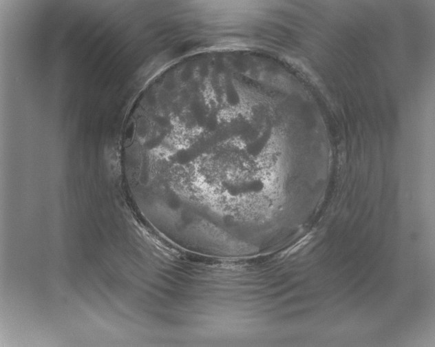 X0000071331409200607071620