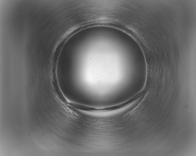 X0000071331410200607071620