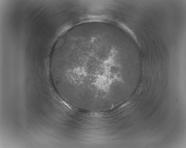 X0000071331411200607071620