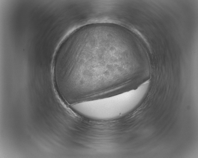 X0000071331416200607071620