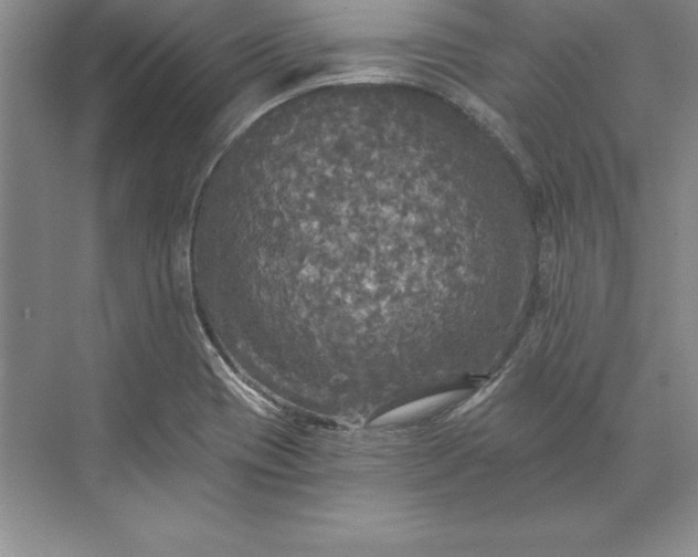 X0000071331417200607071620