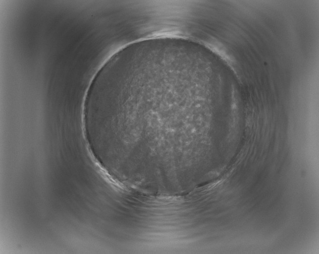 X0000071331423200607071620