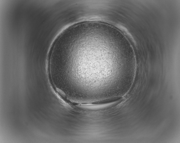 X0000071331424200607071620