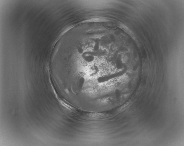 X0000071331425200607071620