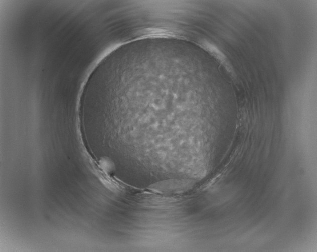 X0000071331427200607071620