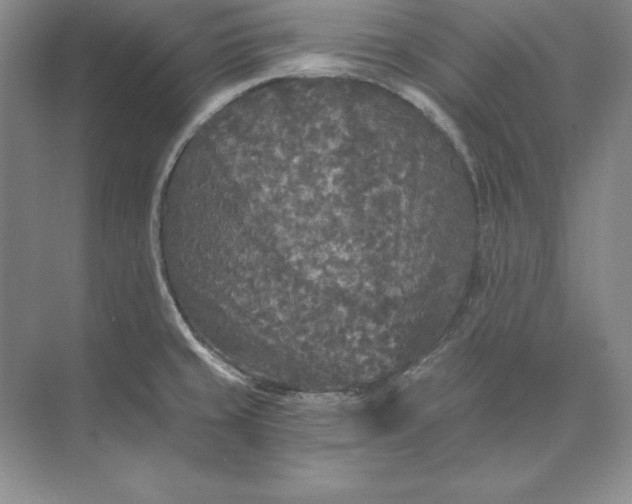 X0000071331429200607071621