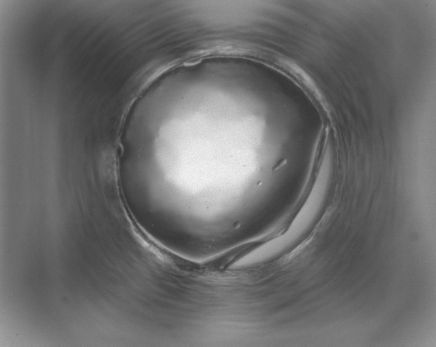 X0000071331433200607071621